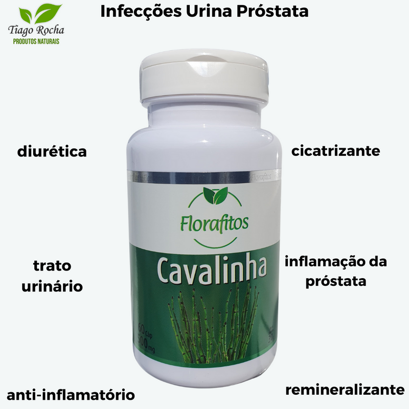 Cavalinha Infecções Urina Próstata