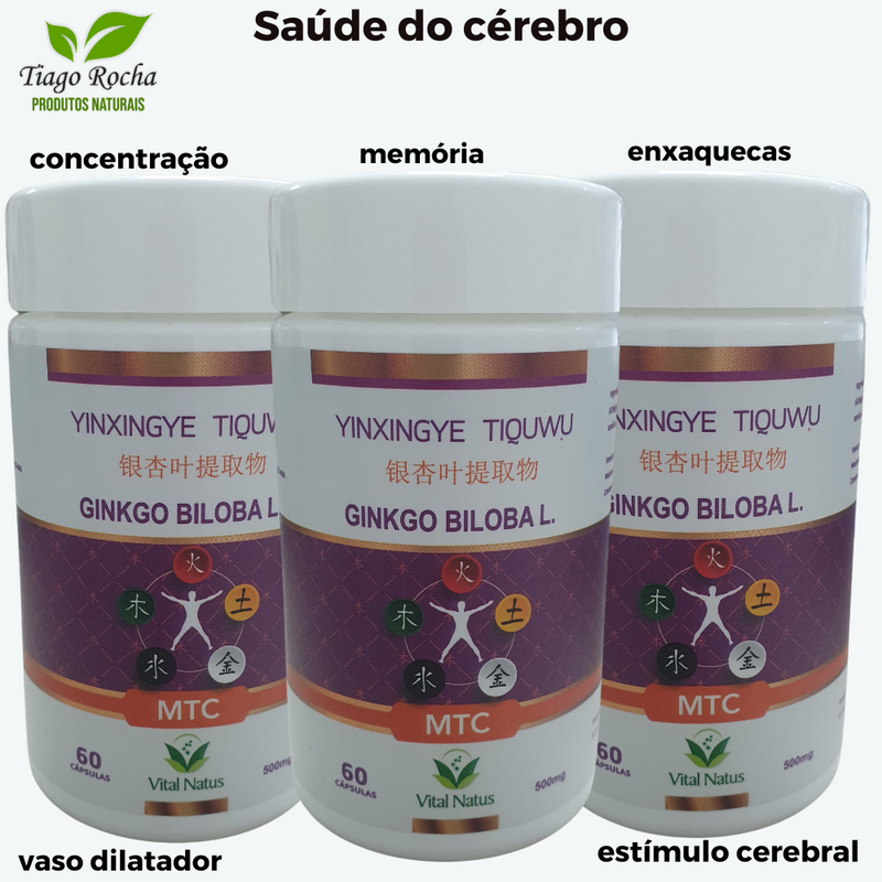 KiT3 Potes Ginkgo Biloba 180 Cápsulas 500mg