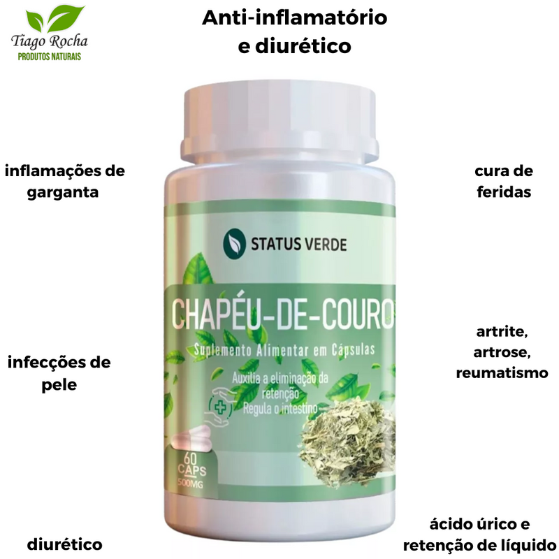 Diurético anti-inflamatório Chapéu de Couro cápsulas